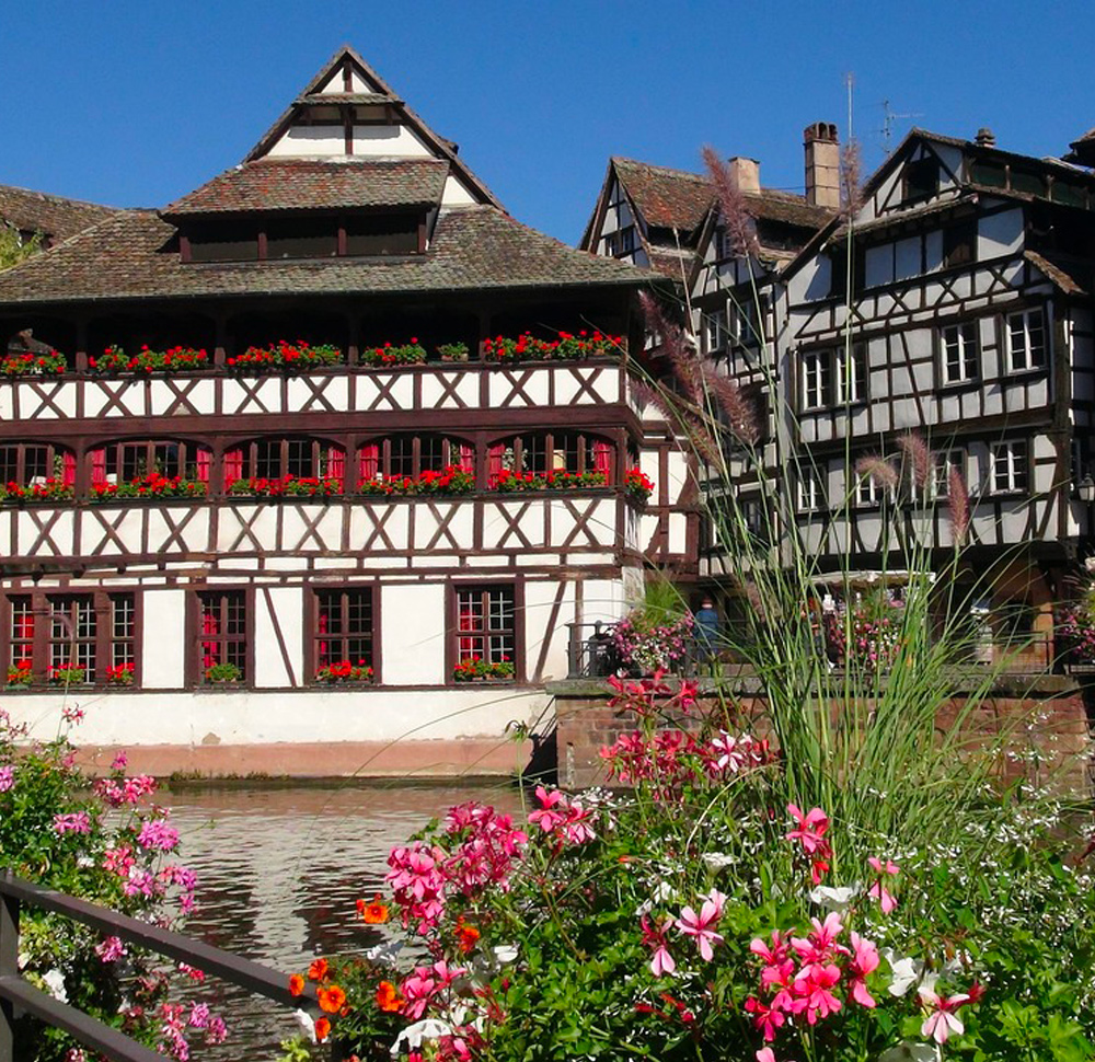 Dégustation de Vins